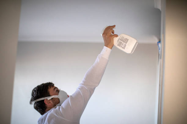 Best Mold Testing  in Vail, AZ